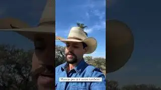 A import&acirc;ncia do Manejo Adequado e bem-estar Animal.