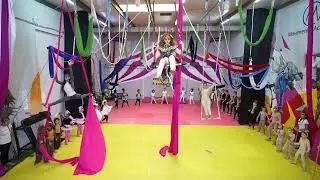 Circus Prodigious - The Lion King 2022 - Circle of life