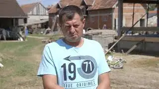Bikovi, svinje i vocarstvo na gazdinstvu u Lipolistu, svastariti se mora - U nasem ataru 858