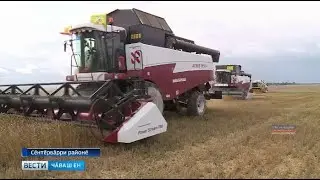 Республикӑри 16 районта вырмана тухнӑ