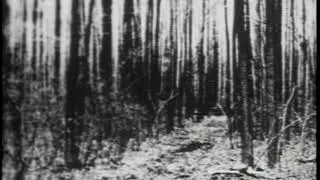 Evan Albam - Begotten Theme (looped tenfold)