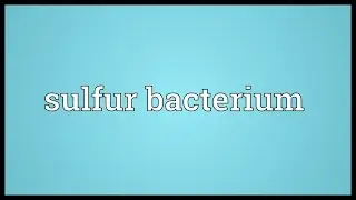 Sulfur bacterium Meaning