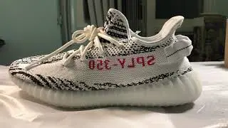 Yeezy Zebra V2 on feet review must watch