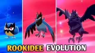 How To Evolve Rookidee Into Corvisquire And Corviknight In Pokemon Sword & Shield | Galar Pokedex