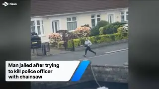 Man jailed after trying to kill police officer with chainsaw