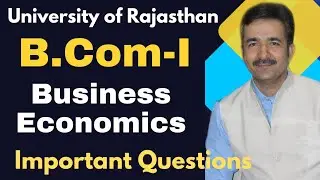 B.Com-I Бизнес-экономика | Важные вопросы | Университет Раджастана | Курсы DCM
