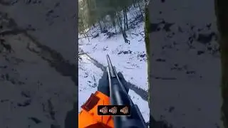 Охота на диких животных 🐗 на снегу &mdash; режим выживания включен! #huntinglife #wildboar #boarhunt