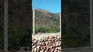 Village elma , chellata