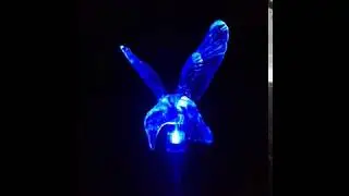 Solcellelampe Kolibri med led lys i flere farver - dkvolt.dk