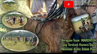 Berburu Semi alek Sawah Pipa TBA (14 Mei 2023)