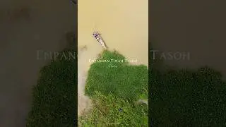 Empangan Timah Tasoh, Perlis 🇲🇾
