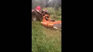 Decompattamento terreno e inerbimento controllato
