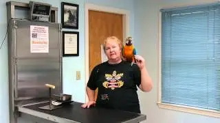 Laurie S and Kiwi at Lunenburg Veterinary Hospital
