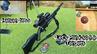 Hatsan bt 65 Plinking Targets Scope cam 2 4k 