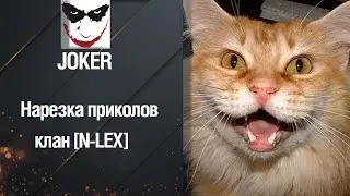 +18 # нарезка приколов #  клан New LEX [N-LEX]