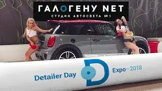 Галогену net на выставке DDExpo'18