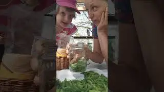 Spruce Tip Syrup