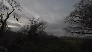 Watching The Morning Clouds at Shotover Woods Oxford