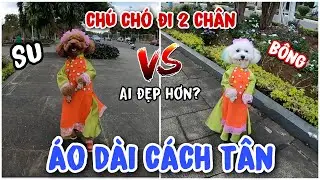 CHÚ CHÓ ĐI HAI CHÂN | SU XÍ XỌN VÀ BÔNG BÉ BỎNG MẶC ÁO DÀI CÁCH TÂN 2021 CÓ 102 TẠI VIỆT NAM