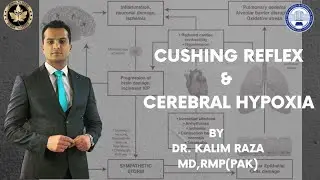 Церебральная гипоксия || Рефлекс Кушинга #физиология #цнс #гипоксия
