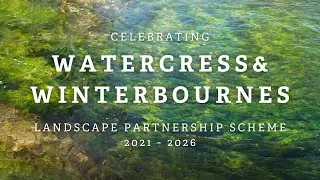 Celebrating Watercress & Winterbournes (2021-2026)