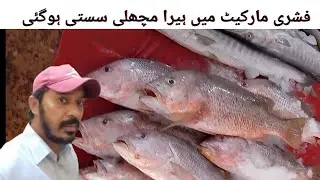 Red, Sniper the Low price for Fishri Market 