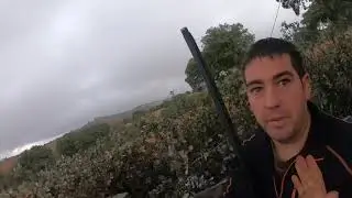 Cimbeleros becaderos