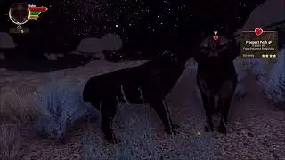 WolfQuest AE: Ultra Iron Wolf Koko #5 ~ Evaluation