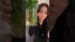How To Store Fresh Herbs