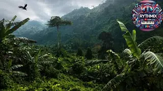 African Music | Jungle Groove - Lively African Pop Instrumental Music