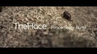 Rulaman / TheHace - Peacemaker Blind (Lyric Video)