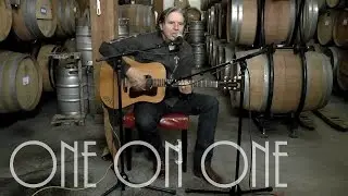 ONE ON ONE: John Doe May 16th, 2016 City Winery New York Full Session