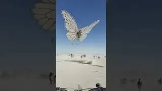 Would you ride this? 🦋 #burningman