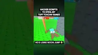 HACKER SCRIPTS TO STEAL MY TUFF TOUCAN 156M/S #roblox #robloxlive #robloxfyp #robloxedit