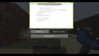 Minecraft Server Review: Revpvp