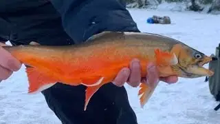 Жизнь в Норвегии рыбалка природа увлечения  самоделки  природа вело прогулки фото красивых мест