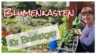 Blumenk&auml;sten bepflanzen f&uuml;r Anf&auml;nger - Eine Anleitung f&uuml;r Beginner