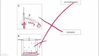 How to separate mixtures using distillation, chromatography and other methods (KS3 Science)