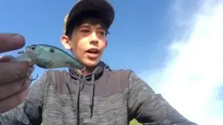 My Thoughts on the Castaic BD SOFT BODY Squarebill CRANKBAIT