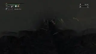 Chalice Dungeon Layer 1 to 4 fall.