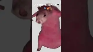 Use you last photo 🔥💀 #goofyahh #memes #shrek #foryou