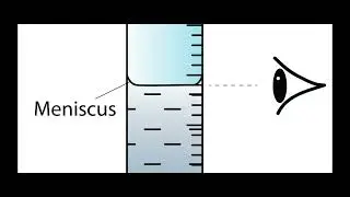 Week 11 Math CYCLE 2