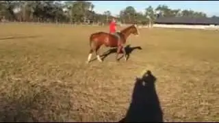 Lethal Threat being ridden bareback for the first time