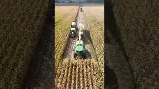 JOHN DEERE 8500i beim Mais h&auml;ckseln