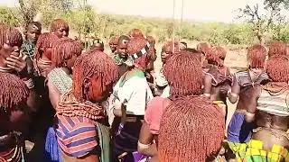 Hamer Tribe Bull Jumping Ritual | Ethiopia&rsquo;s Wildest Cultural Tradition 🇪🇹
