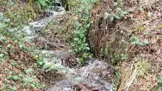 Nehalem, Oregon