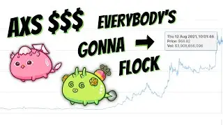 FLOCK 2.0 (FT. RO11ING BOY) | OFFICIAL LYRIC VIDEO | AXIE INFINITY