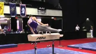 Alec Yoder - Pommel Horse - 2014 Men's Junior Olympic National Championships