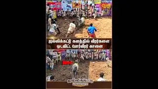 Alanganallur Jallikattu - 2026 | CM MK Stalin | Madurai | Prizes | Sun News