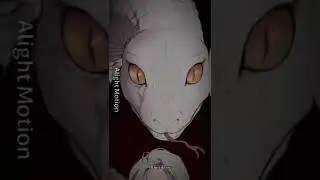 ~Snake vibes~ / edit / bl
